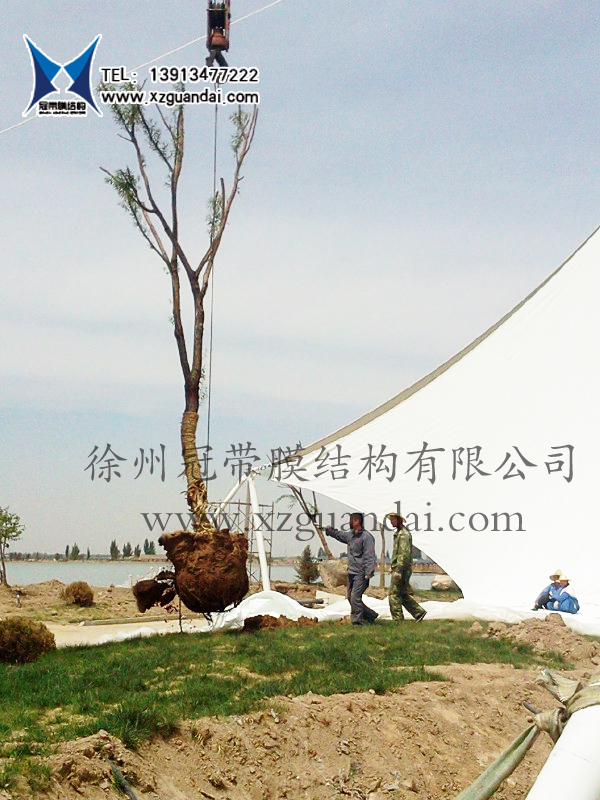 银川沙湖景区(1700平方米)三片景观膜工程安装图片01